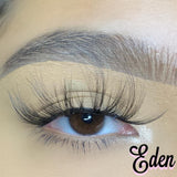 EDEN LASH TRAY